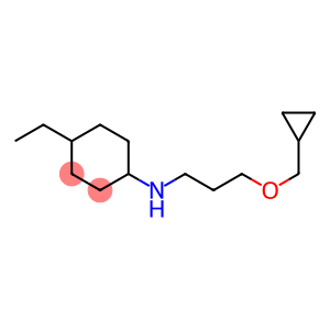 N-[3-(cyclopropylmethoxy)propyl]-4-ethylcyclohexan-1-amine