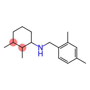 N-[(2,4-dimethylphenyl)methyl]-2,3-dimethylcyclohexan-1-amine