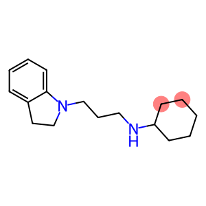 N-[3-(2,3-dihydro-1H-indol-1-yl)propyl]cyclohexanamine