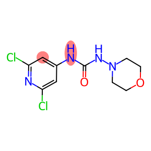 N-(2,6-DICHLORO-4-PYRIDYL)-N'-MORPHOLINOUREA