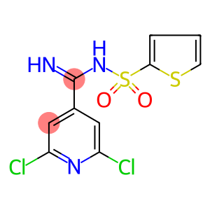 N-[(2,6-DICHLOROPYRIDIN-4-YL)(IMINO)METHYL]THIOPHENE-2-SULFONAMIDE