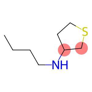 N-butylthiolan-3-amine