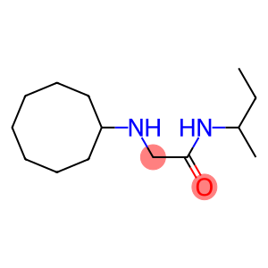 N-(butan-2-yl)-2-(cyclooctylamino)acetamide