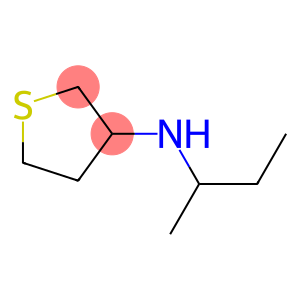 N-(butan-2-yl)thiolan-3-amine