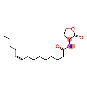 N-cis-tetradec-9Z-enoyl-L-Homoserine lactone