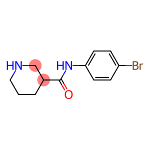 N-(4-Bromophenyl)piperidine-3-carboxamide