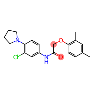 N-[3-chloro-4-(1-pyrrolidinyl)phenyl]-2-(2,4-dimethylphenoxy)acetamide