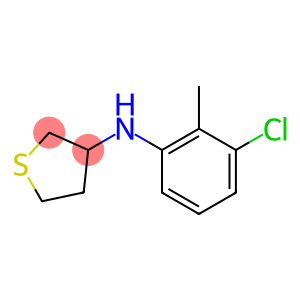 N-(3-chloro-2-methylphenyl)thiolan-3-amine