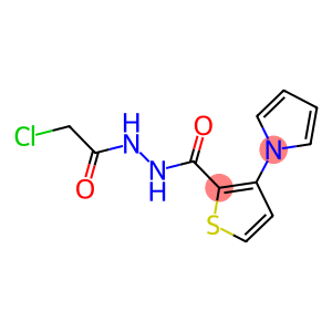 N'2-(2-CHLOROACETYL)-3-(1H-PYRROL-1-YL)THIOPHENE-2-CARBOHYDRAZIDE