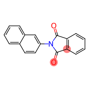 N-(BETA-NAPHTHYL)PHTHALIMIDE