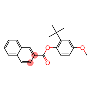 2-Naphthoic acid 2-tert-butyl-4-methoxyphenyl ester