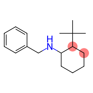 N-benzyl-2-tert-butylcyclohexan-1-amine