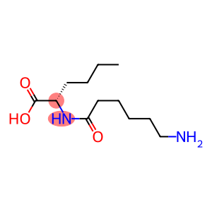 N(6)-aminocaproylnorleucine