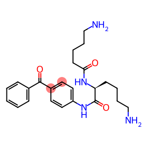 4-(N2-(5-Aminovaleryl)-L-lysylamino)benzophenone