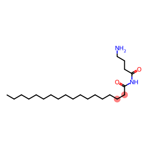 N-(4-Aminobutyryl)stearamide