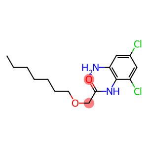 N-(2-amino-4,6-dichlorophenyl)-2-(heptyloxy)acetamide