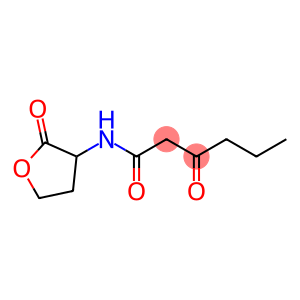 3-oxo-N-(2-oxotetrahydro-3-furanyl)hexanamide