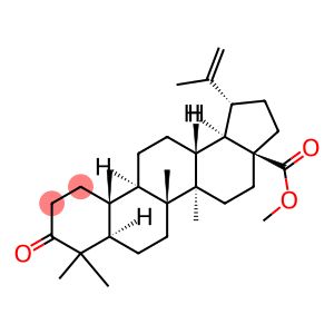 3-OXO-LUP-20(29)-EN-28-OIC ACID METHYL ESTER