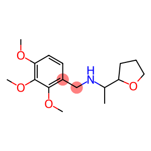 [1-(oxolan-2-yl)ethyl][(2,3,4-trimethoxyphenyl)methyl]amine