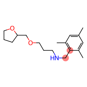 [3-(oxolan-2-ylmethoxy)propyl][(2,4,6-trimethylphenyl)methyl]amine