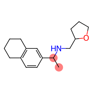 (oxolan-2-ylmethyl)[1-(5,6,7,8-tetrahydronaphthalen-2-yl)ethyl]amine