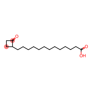 13-(2'-OXOCYCLOBUTYL)-TRIDECANOIC ACID