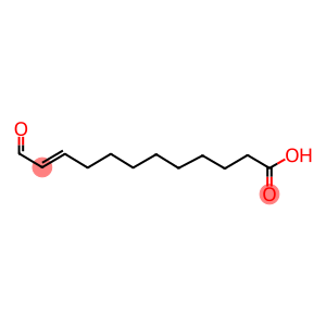 12-OXO-10(E)-DODECENOIC ACID