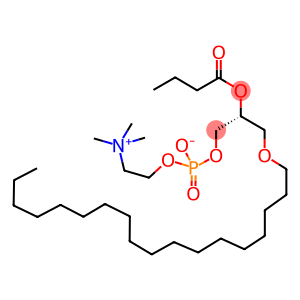 1-O-OCTADECYL-2-BUTYROYL-SN-GLYCERO-3-PHOSPHOCHOLINE