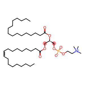 1-oleoyl-2-palmitoyl-sn-glycero-3-phosphocholine