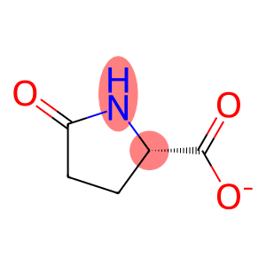 PYROGLUTAMATE