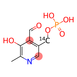 PYRIDOXAL 5-PHOSPHATE, [14C]