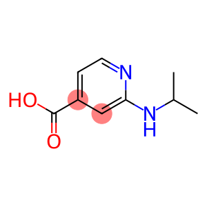 2-(propan-2-ylamino)pyridine-4-carboxylic acid