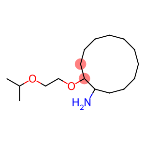 2-[2-(propan-2-yloxy)ethoxy]cyclododecan-1-amine