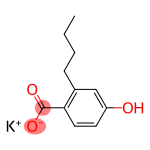 POTASSIUM BUTYLPARABEN