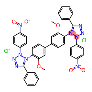 P-NITRO BLUE TETRAZONIUM CHLORIDE