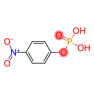 P-NITROPHENYL PHOSPHATE POWDER