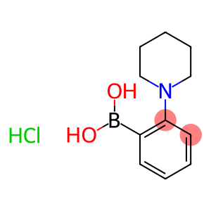 2-(Piperdino)phenylboronic acid HCl