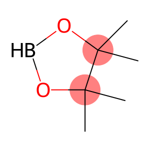 Pinacolborane-10B