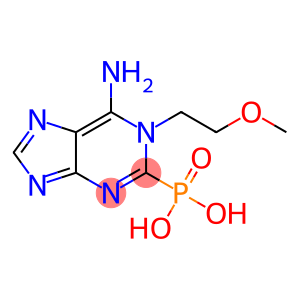 PHOSPHONO METHOXY ETHYL ADENINE