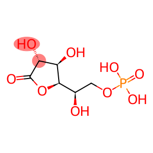 6-phosphoglucono-gamma-lactone