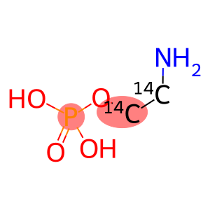 PHOSPHORYL ETHANOLAMINE [ETHANOLAMINE 1,2-14C]