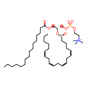 PHOSPHATIDYLCHOLINE, L-ALPHA-1-PALMITOYL-, 2-ARACHIDONYL, [ARACHIDONYL-1-14C]