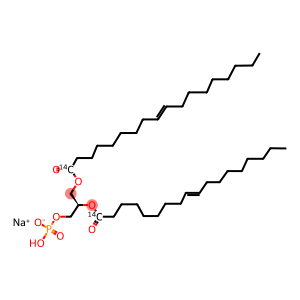 PHOSPHATIDIC ACID L-ALPHA DIOLEOYL, [OLEOYL-1-14C] SODIUM SALT