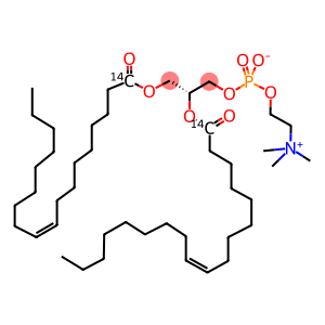 PHOSPHATIDYLCHOLINE, L-ALPHA-DIOLEOYL, [DIOLEOYL-1-14C]