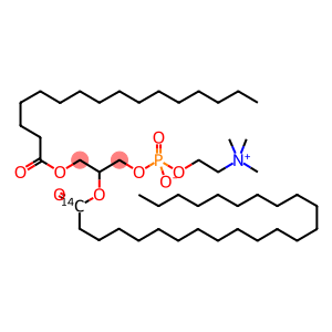 PHOSPHATIDYLCHOLINE, 1-ALPHA-PALMITOYL-, 2-LIGNOCERYL [LIGNOCERYL-1-14C]