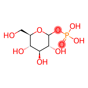 Phosphoric acid hydrogen D-glucopyranosyl ester