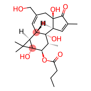 PHORBOL-12-BUTYRATE