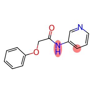 2-PHENOXY-N-(3-PYRIDYL)ETHANAMIDE