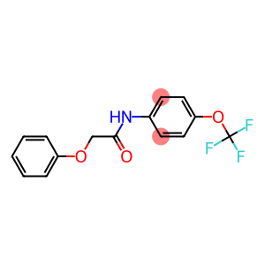 2-PHENOXY-N-(4-(TRIFLUOROMETHOXY)PHENYL)ETHANAMIDE