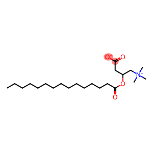 PENTADECANOYL L CARNITINE